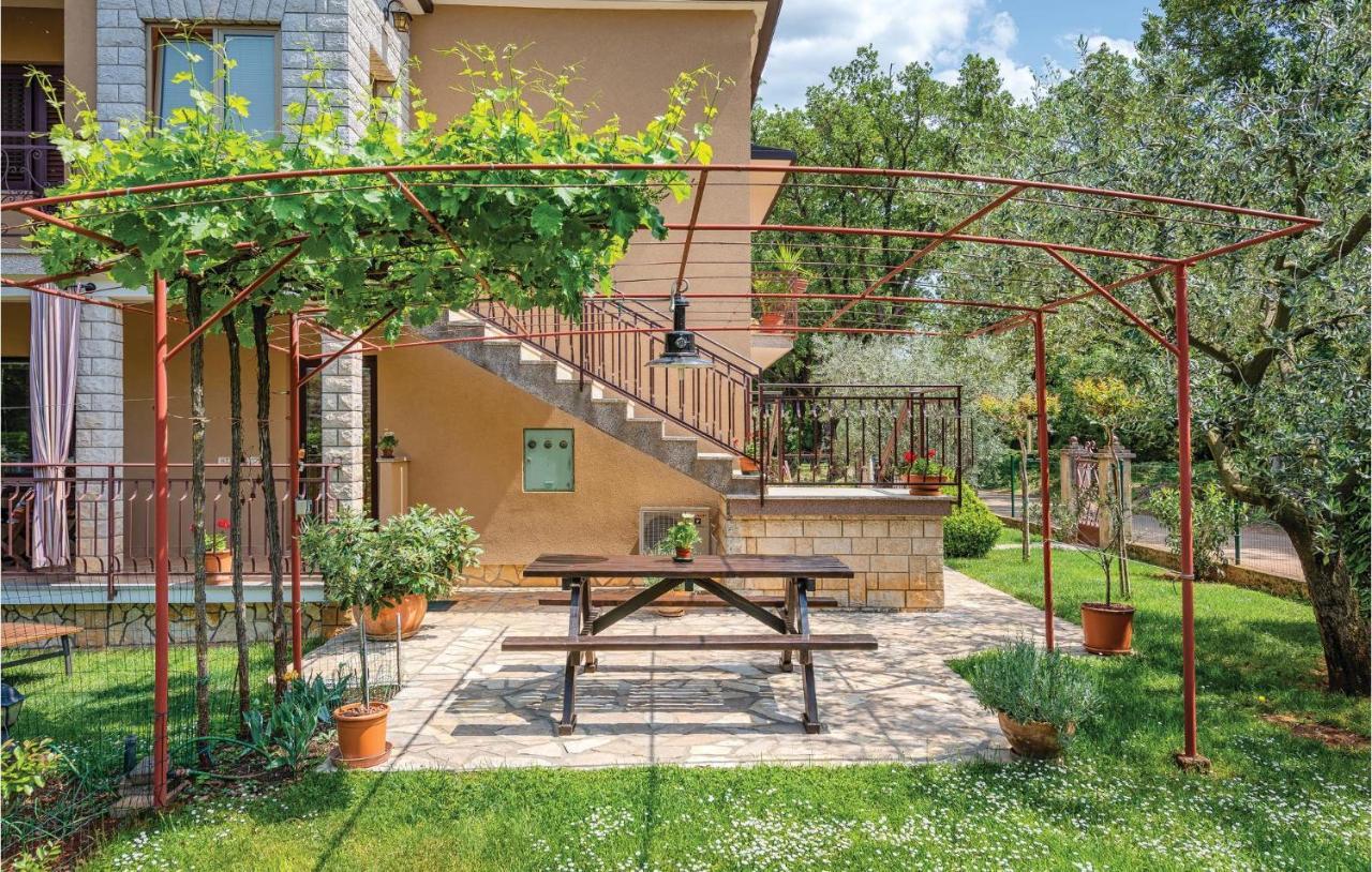 Apartment Amazing In With Wifi Umag