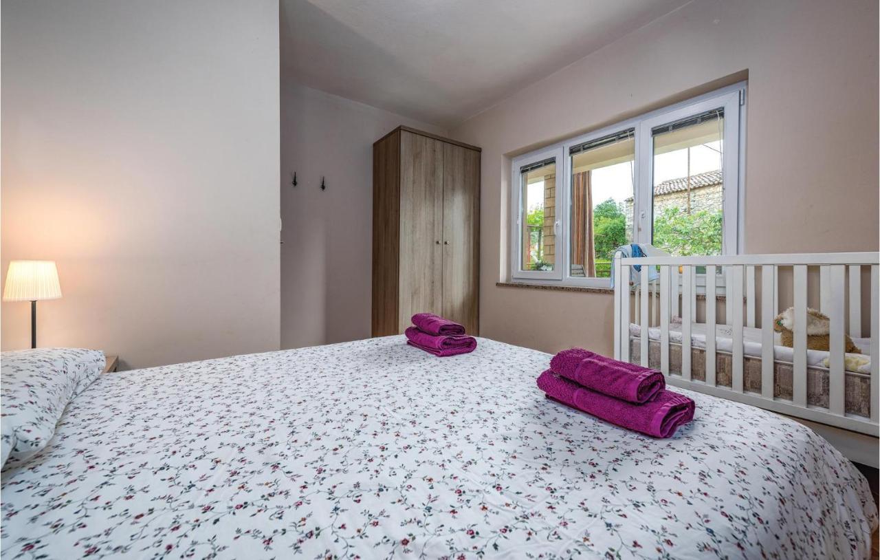 Apartment Amazing In With Wifi Umag
